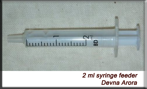 Devna Arora - Feeding syringe 2 ml